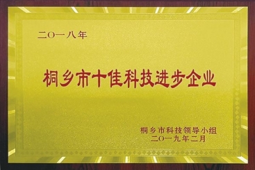 8868体育官方入口集团荣获2018年桐乡市十佳科技进步企业